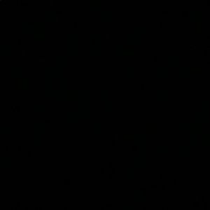 Meet your Posher, Joana